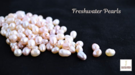 Freshwater Pearls
