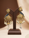 Fancy earrings