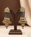 Fancy earrings