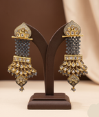 Fancy earrings