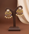 Fancy earrings