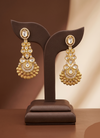 Fancy earrings