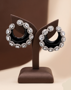 Fancy earrings
