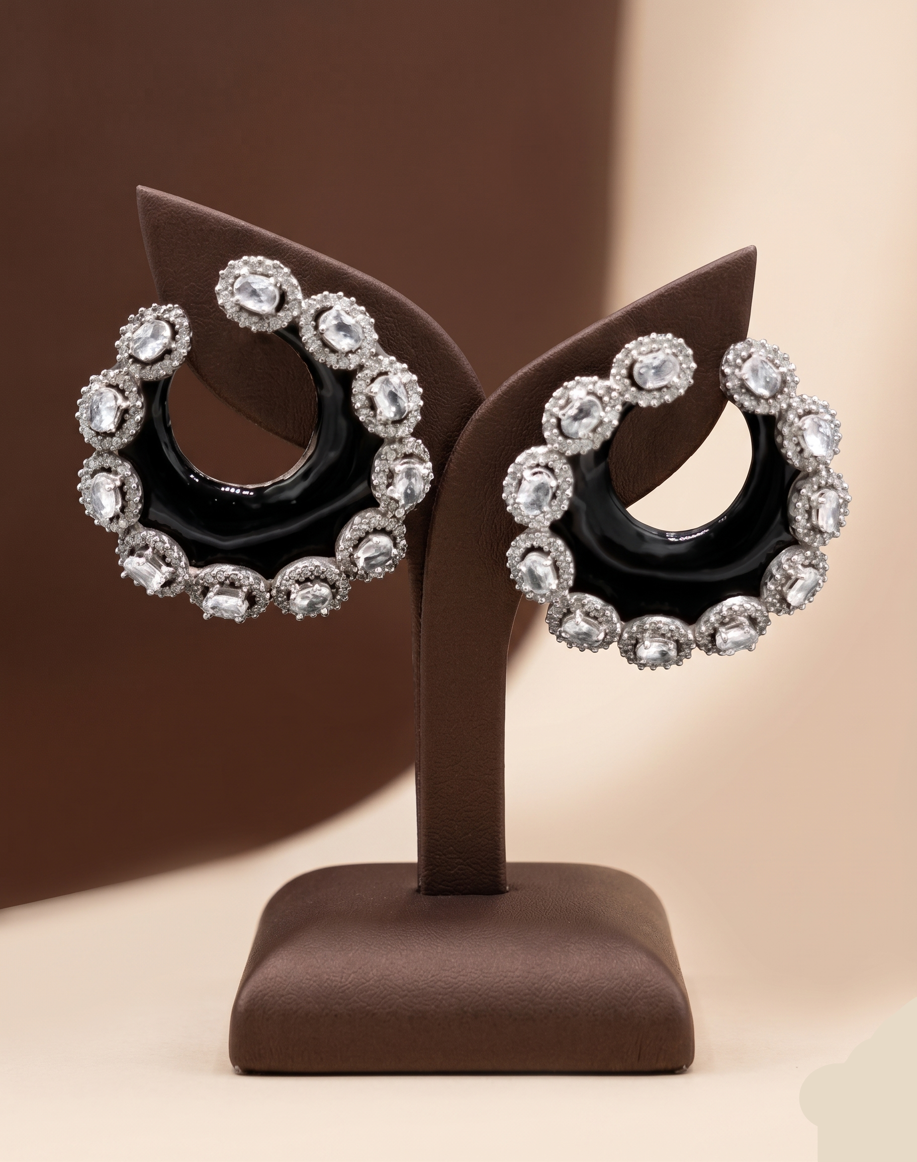 Fancy earrings
