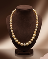Golden Classic South Sea Pearl One-Line Mala