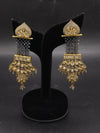Fancy earrings