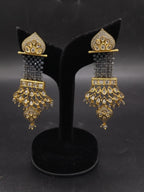 Fancy earrings
