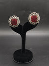 Fancy earrings