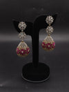 Fancy earrings
