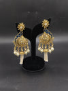 Fancy earrings