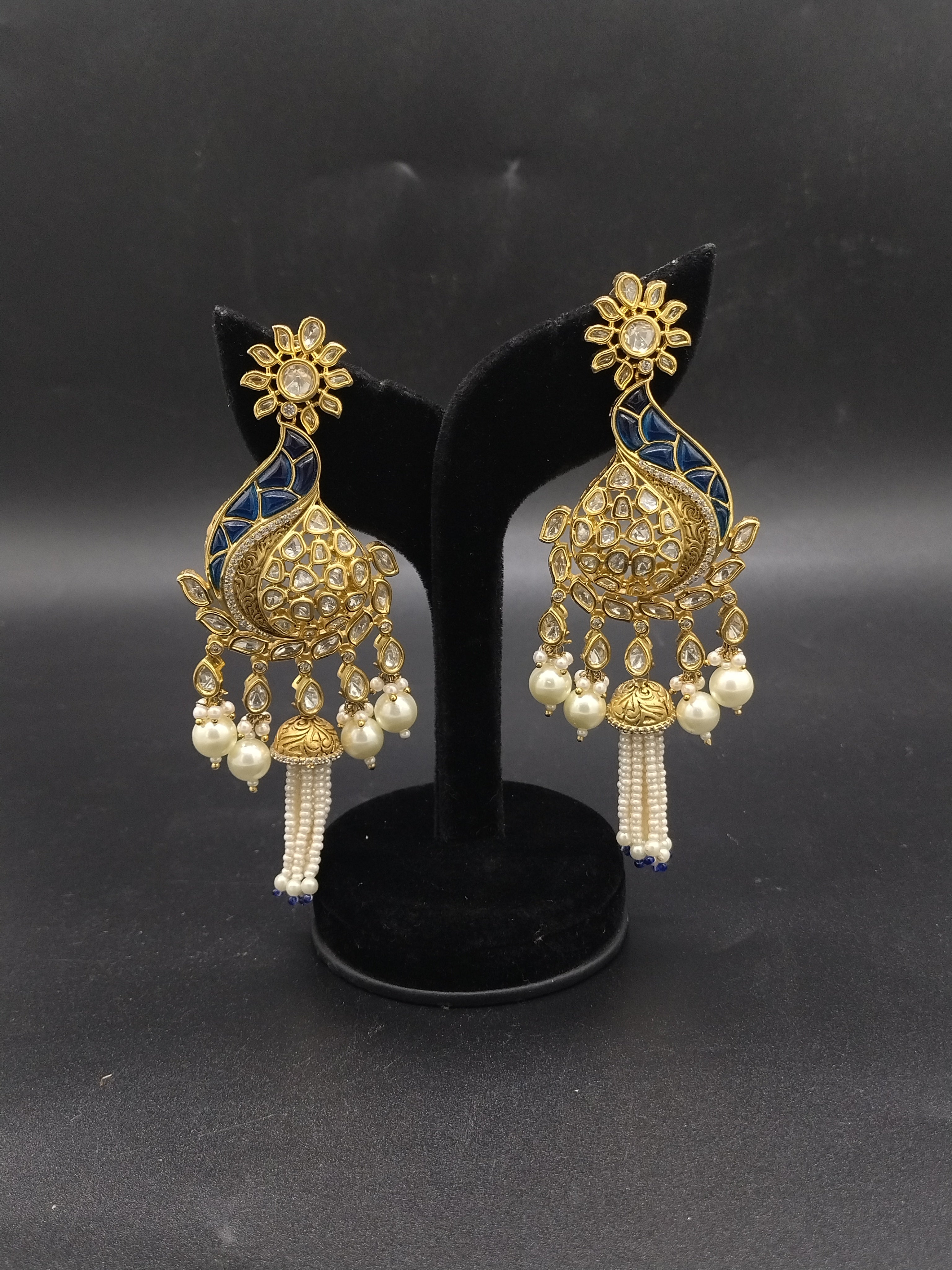 Fancy earrings