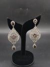 Fancy earrings