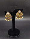 Fancy earrings
